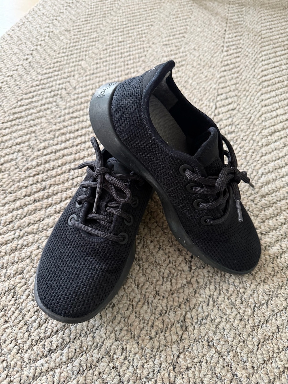 Allbirds Women’s Tree Runner in Jet Black